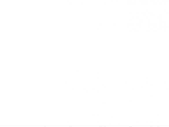 Bolo de Milho do Chef Silva